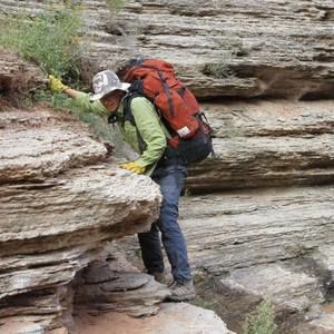 Meet your Posher, Nelson